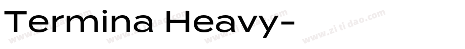 Termina Heavy字体转换